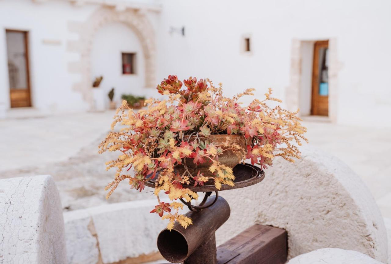 أوستوني Masseria Casamassima Agriturismo المظهر الخارجي الصورة