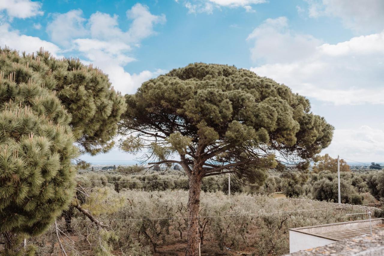 أوستوني Masseria Casamassima Agriturismo المظهر الخارجي الصورة