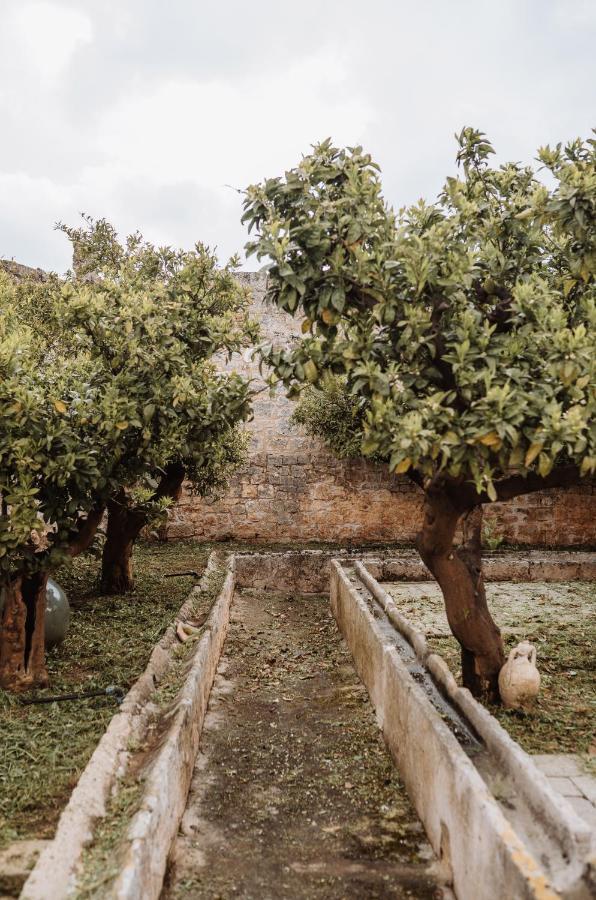 أوستوني Masseria Casamassima Agriturismo المظهر الخارجي الصورة