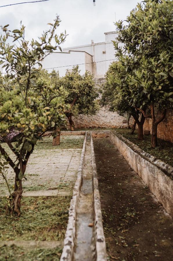 أوستوني Masseria Casamassima Agriturismo المظهر الخارجي الصورة