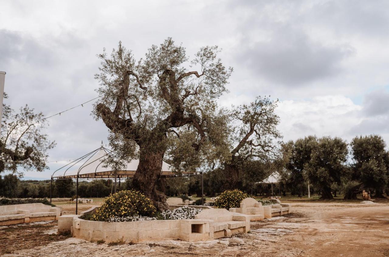 أوستوني Masseria Casamassima Agriturismo المظهر الخارجي الصورة