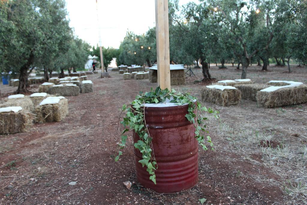 أوستوني Masseria Casamassima Agriturismo المظهر الخارجي الصورة