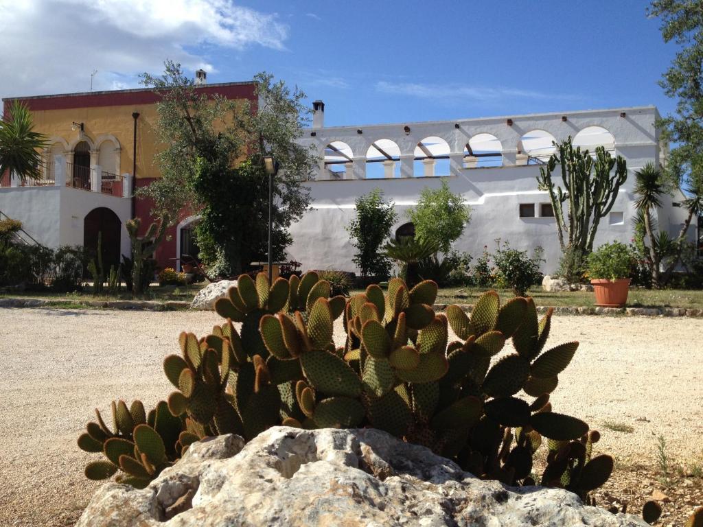 أوستوني Masseria Casamassima Agriturismo المظهر الخارجي الصورة